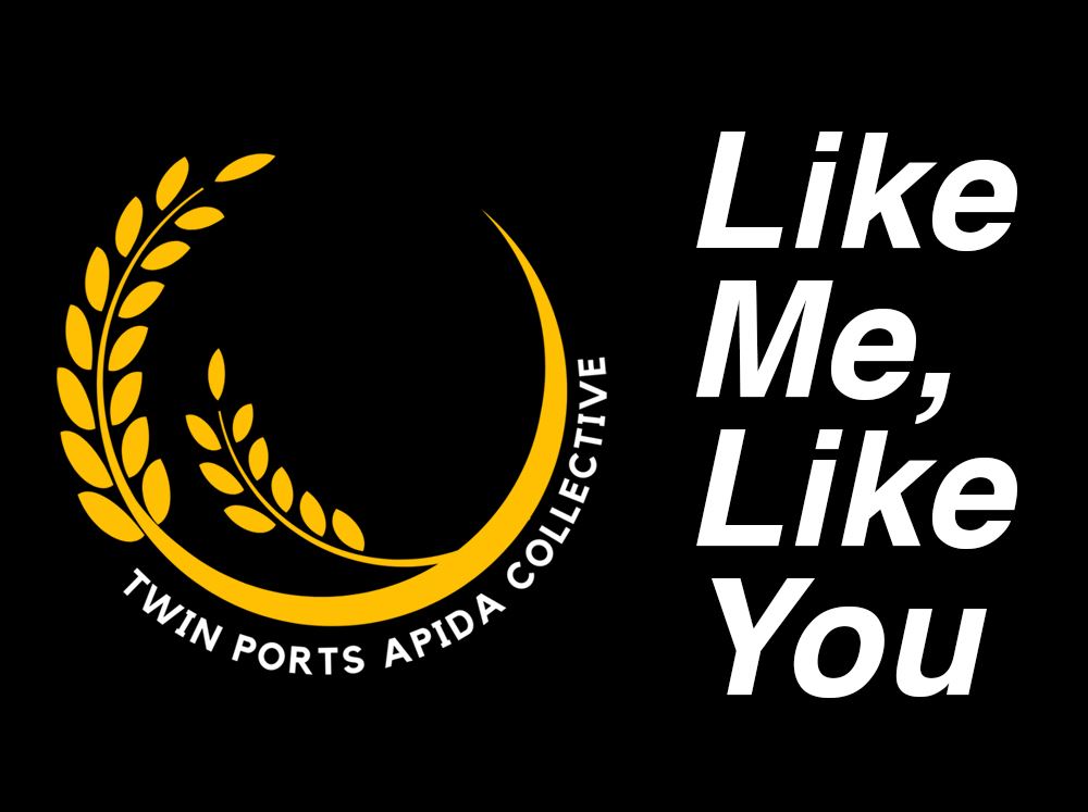 Twin Ports APIDA Collective: Like Me, Like You